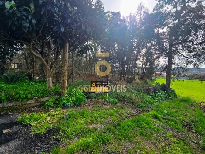 Terreno Agricola ou Rústico para Venda em São Martinho da Gandara Foto 4