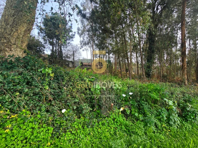 Terreno Agricola ou Rústico para Venda em São Martinho da Gandara Foto 9