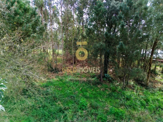 Terreno Agricola ou Rústico para Venda em São Martinho da Gandara Foto 8