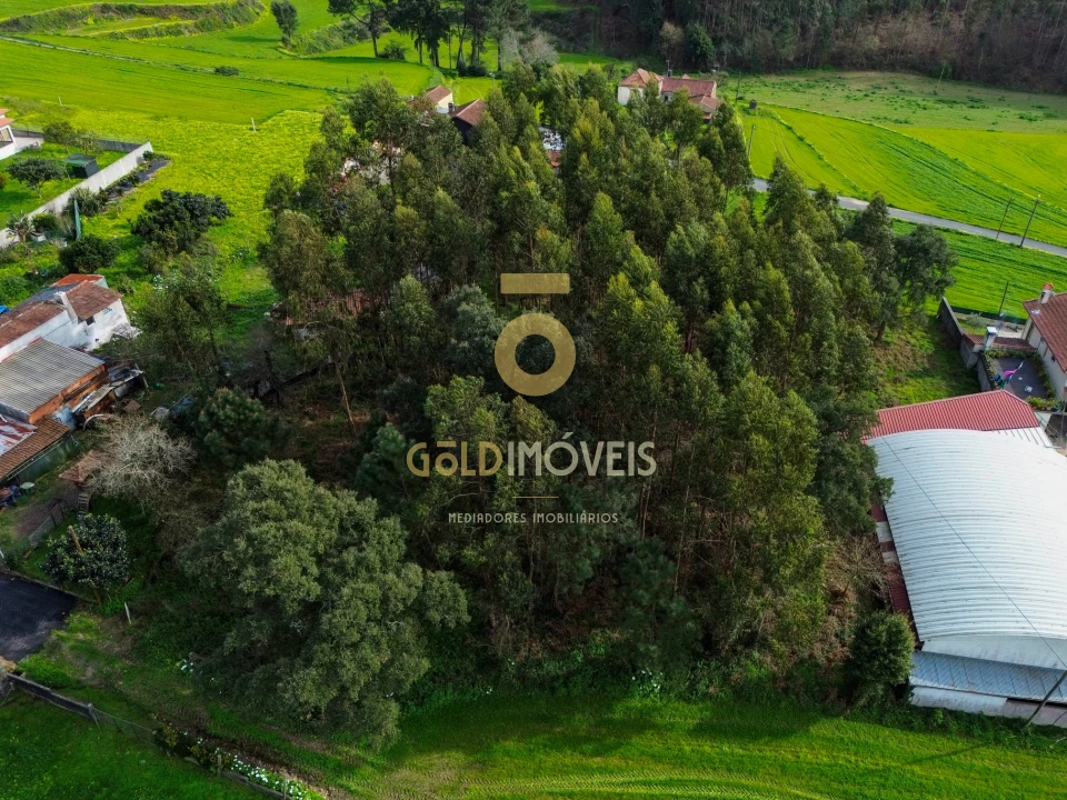 Terreno Agricola ou Rústico para Venda em São Martinho da Gandara Foto 5