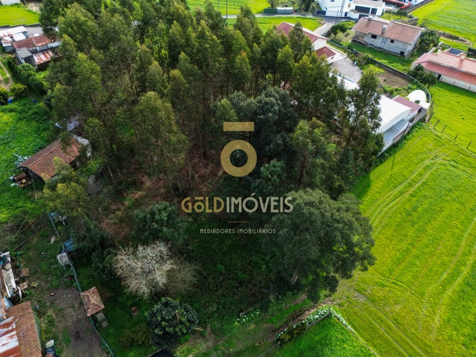 Terreno Agricola ou Rústico para Venda em São Martinho da Gandara Foto 3