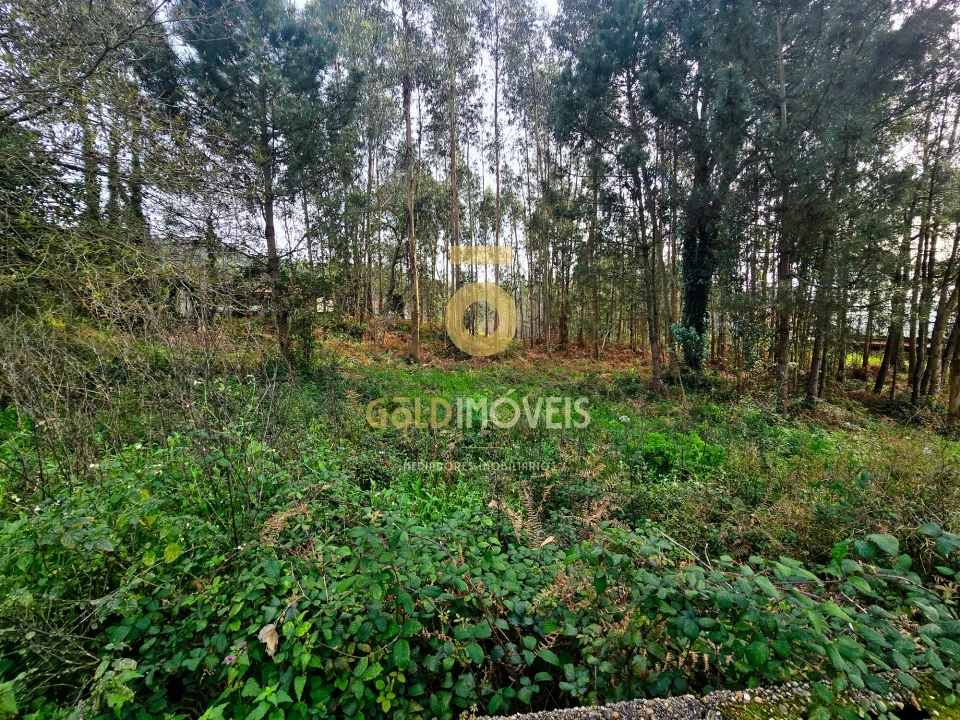Terreno Agricola ou Rústico para Venda em São Martinho da Gandara Foto 10