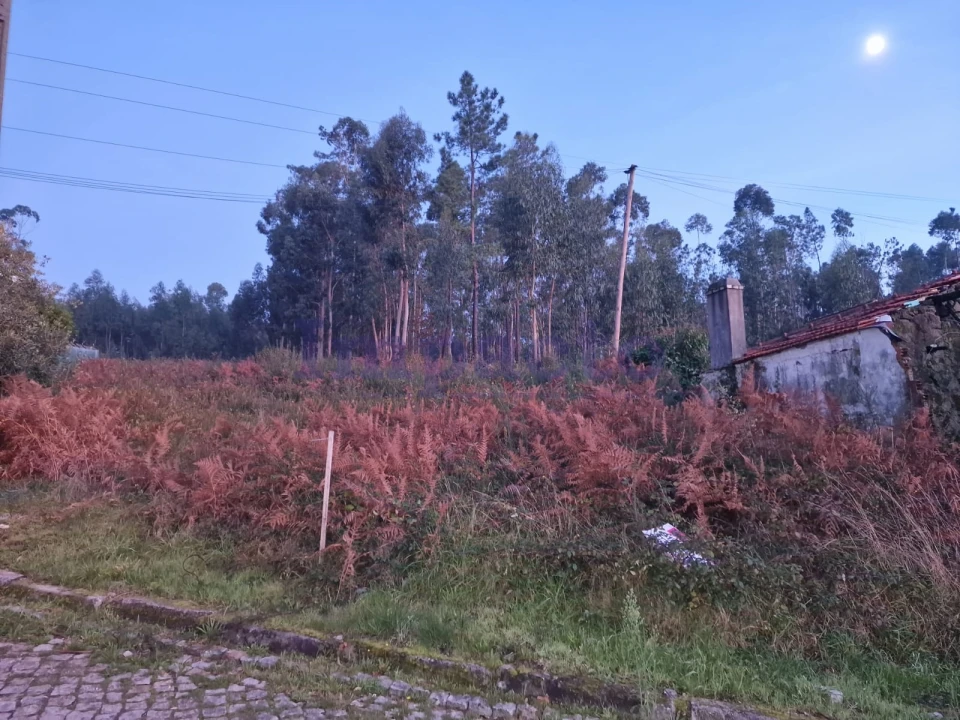 Terreno Agricola ou Rústico para Venda em Escariz Foto 5