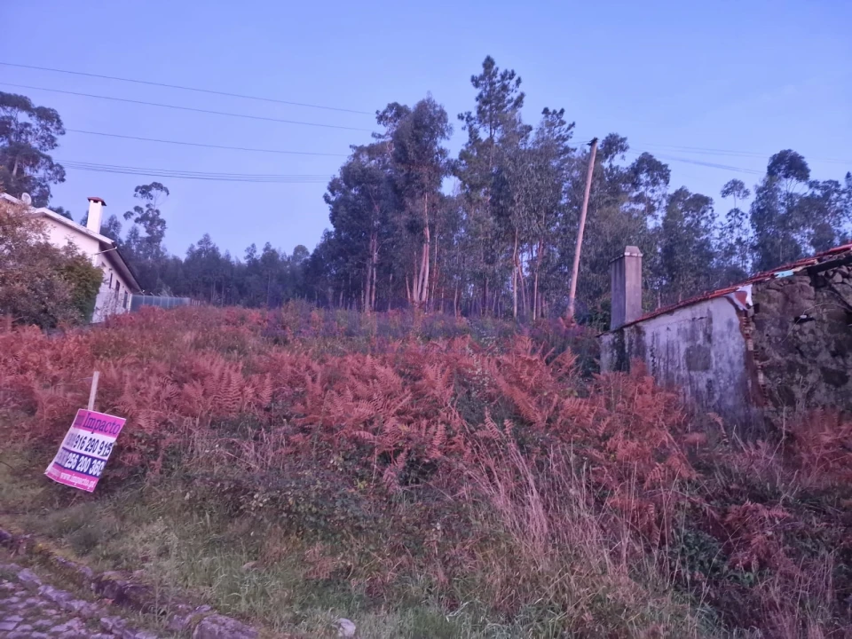 Terreno Agricola ou Rústico para Venda em Escariz Foto 2