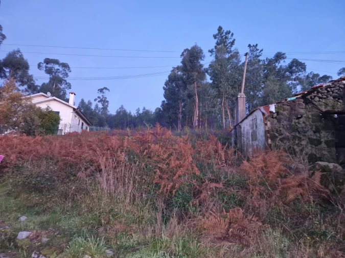 Terreno Agricola ou Rústico para Venda em Escariz Foto 4