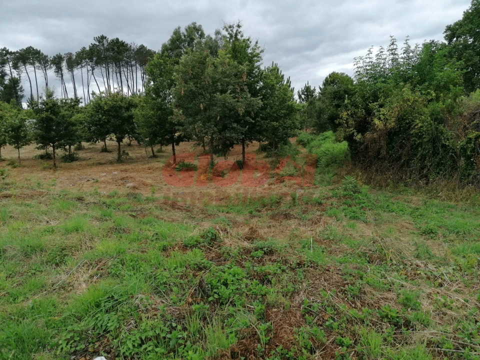 Terreno para Venda em Campo Foto 1