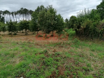 Terreno para Venda em Campo