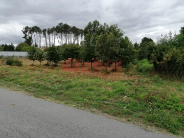 Terreno para Venda em Campo
