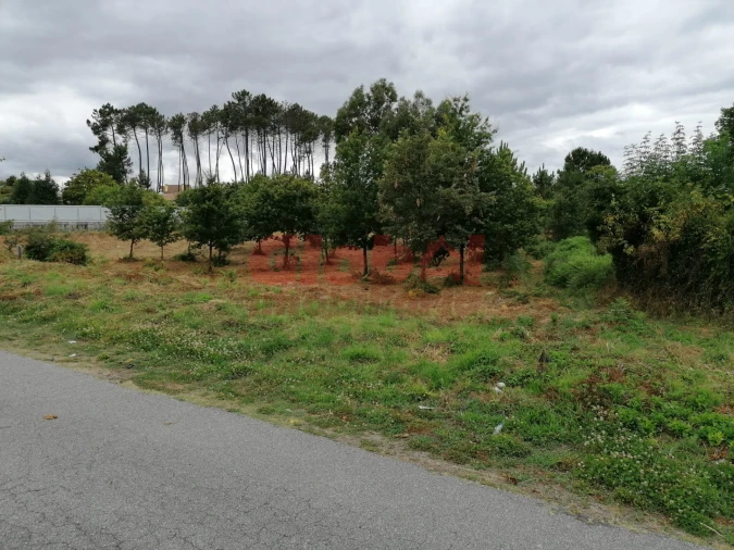 Terreno para Venda em Campo Foto 2