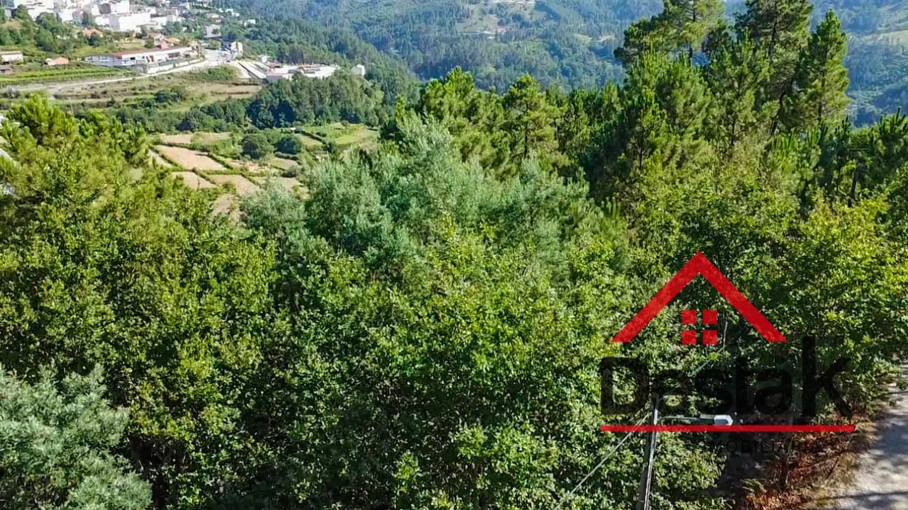 Terreno para Venda em Castro Daire Foto 9