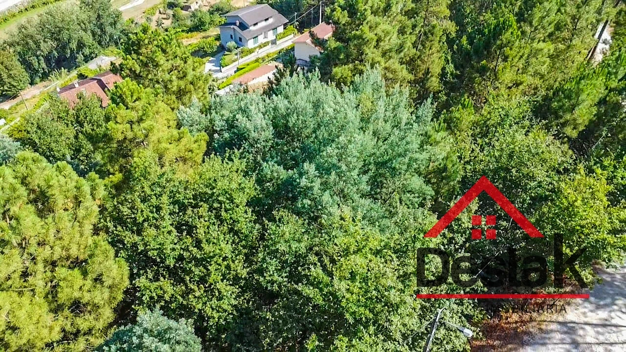 Terreno para Venda em Castro Daire Foto 4