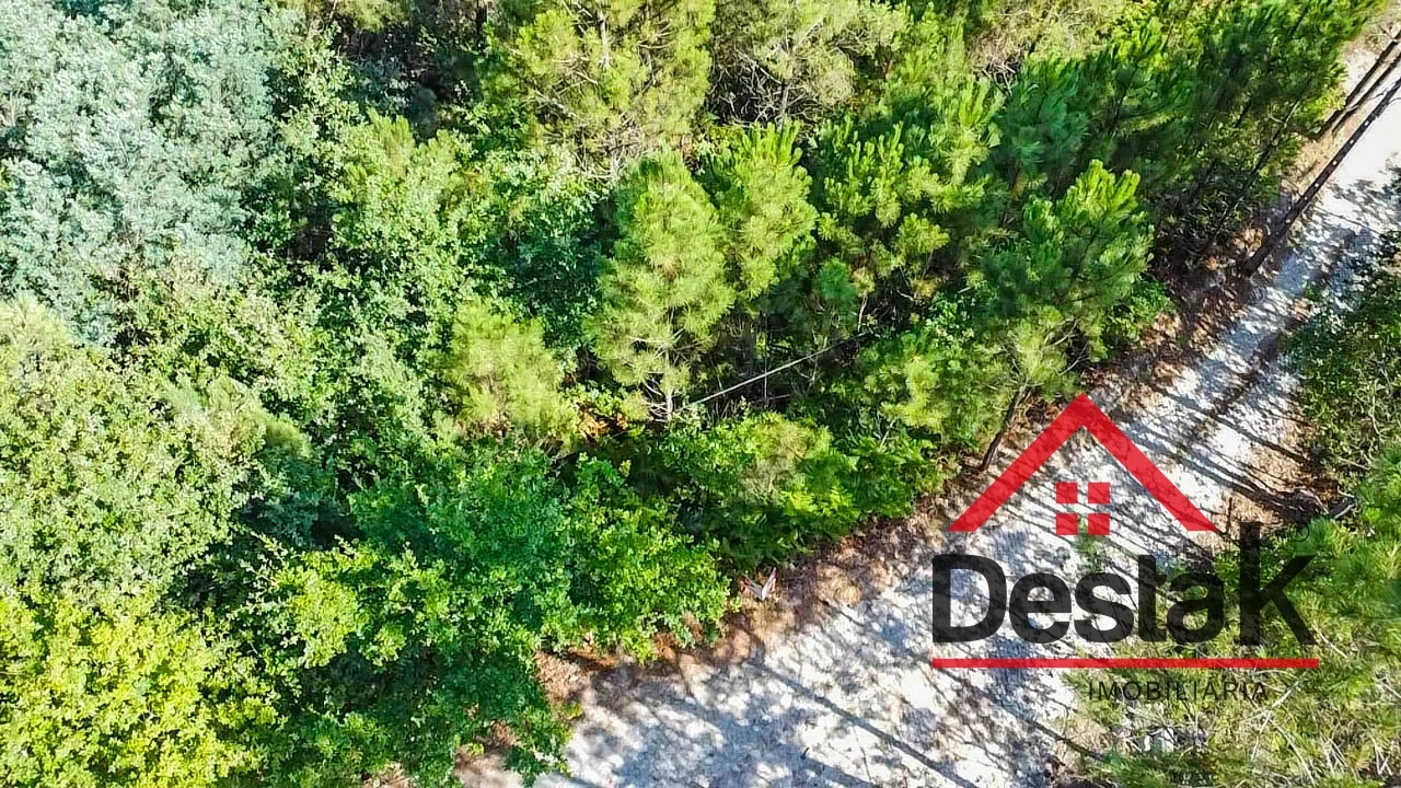 Terreno para Venda em Castro Daire Foto 2