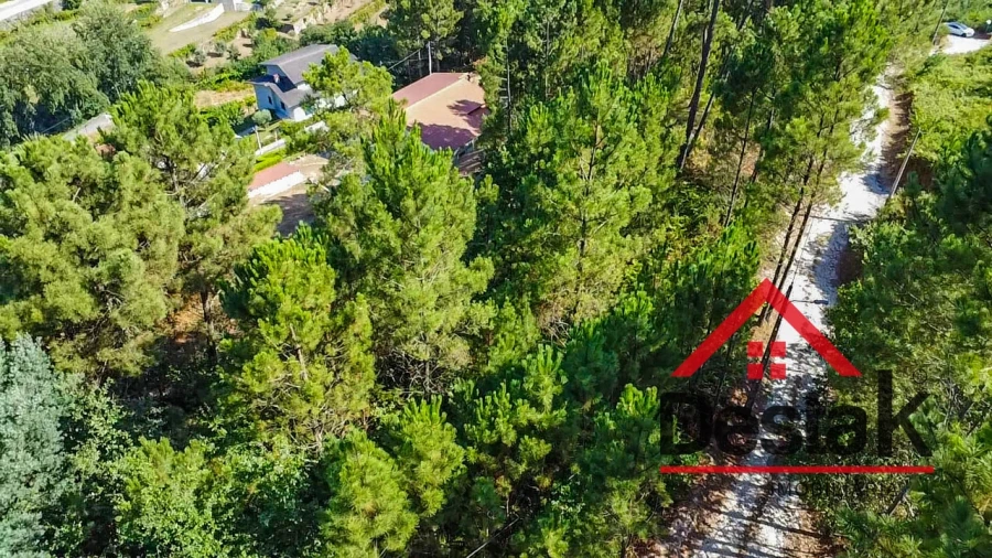 Terreno para Venda em Castro Daire