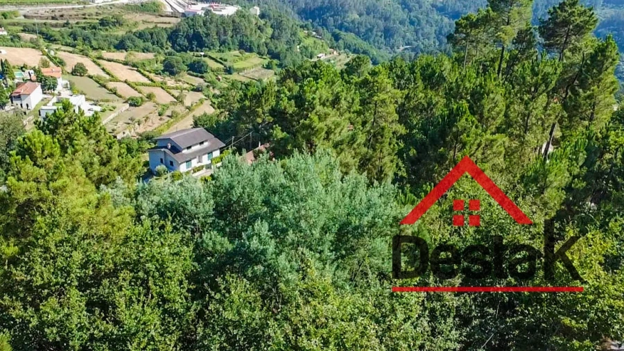 Terreno para Venda em Castro Daire Foto 10