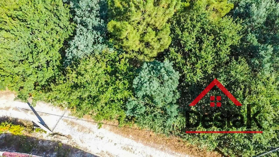 Terreno para Venda em Castro Daire Foto 6