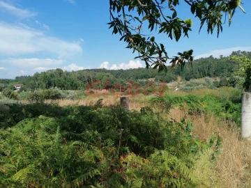 Terreno Agricola ou Rústico para Venda em São Cipriano e Vil de Souto