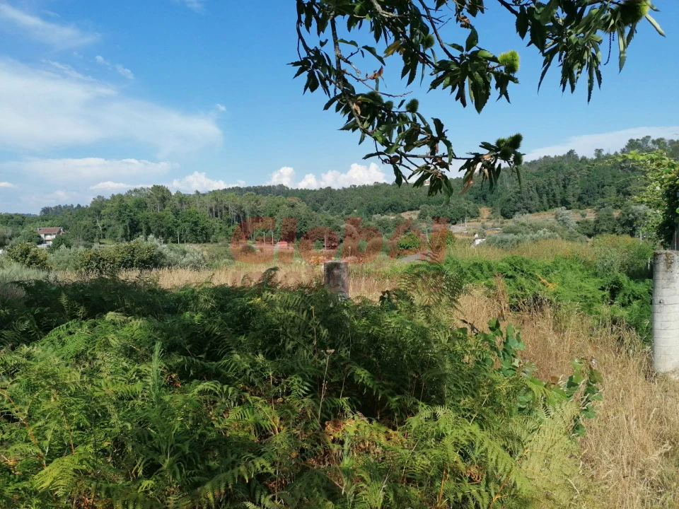 Terreno Agricola ou Rústico para Venda em São Cipriano e Vil de Souto Foto 1