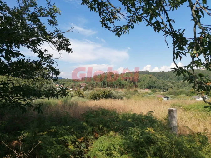 Terreno Agricola ou Rústico para Venda em São Cipriano e Vil de Souto Foto 2