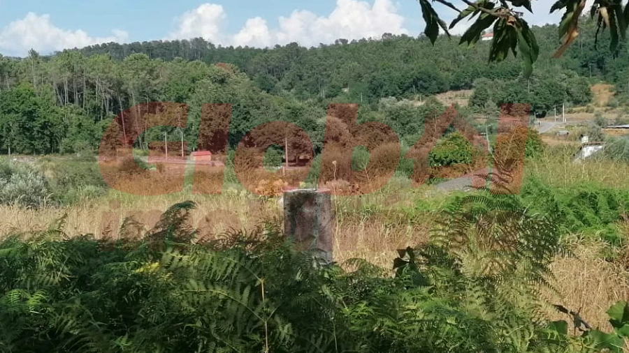 Terreno Agricola ou Rústico para Venda em São Cipriano e Vil de Souto