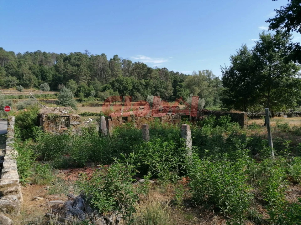 Terreno Misto para Venda em São Cipriano e Vil de Souto Foto 6