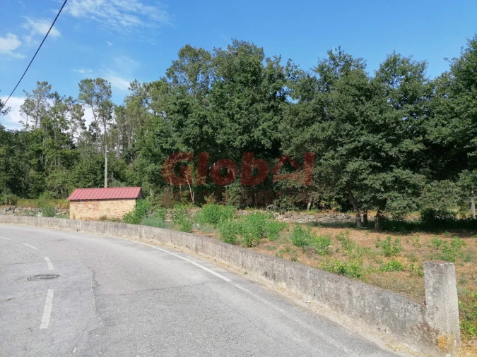 Terreno Misto para Venda em São Cipriano e Vil de Souto Foto 11