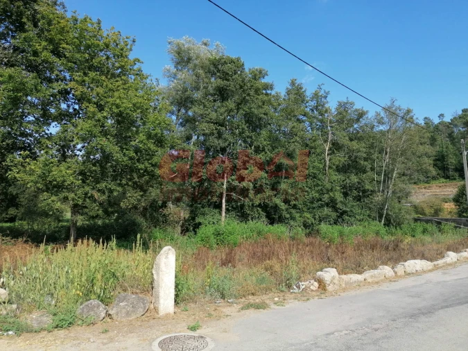 Terreno Misto para Venda em São Cipriano e Vil de Souto Foto 8