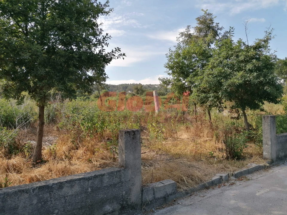 Terreno Misto para Venda em São Cipriano e Vil de Souto Foto 7