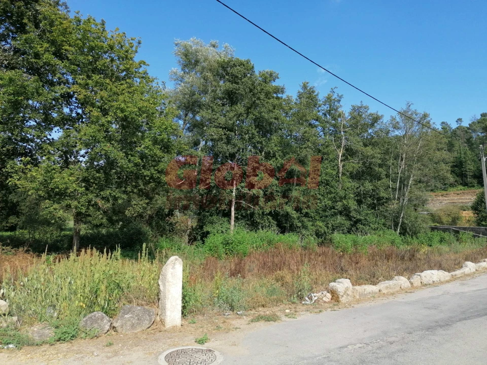 Terreno Misto para Venda em São Cipriano e Vil de Souto Foto 8
