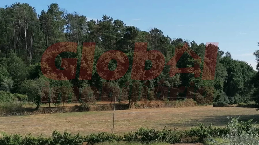 Terreno Misto para Venda em São Cipriano e Vil de Souto