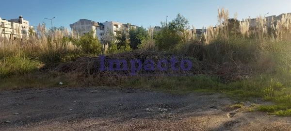 Terreno para Venda em O. Azeméis, Riba-Ul, Ul, Macinhata Seixa, Madail