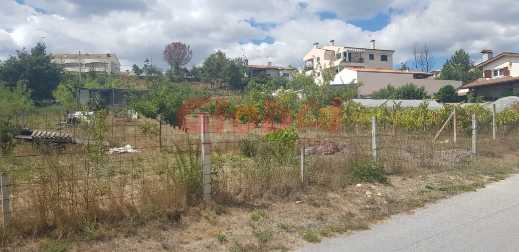 Terreno para Venda em Campo Foto 2