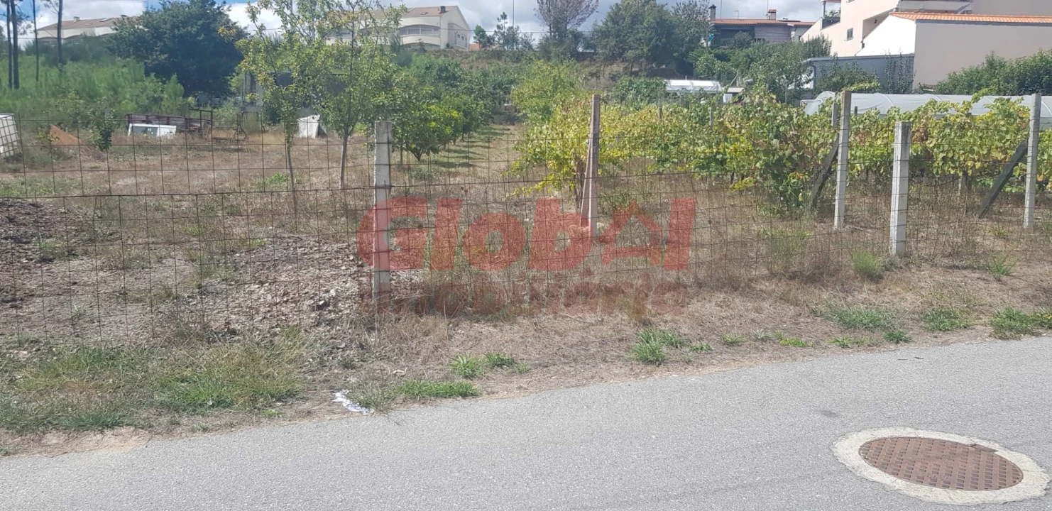 Terreno para Venda em Campo Foto 1