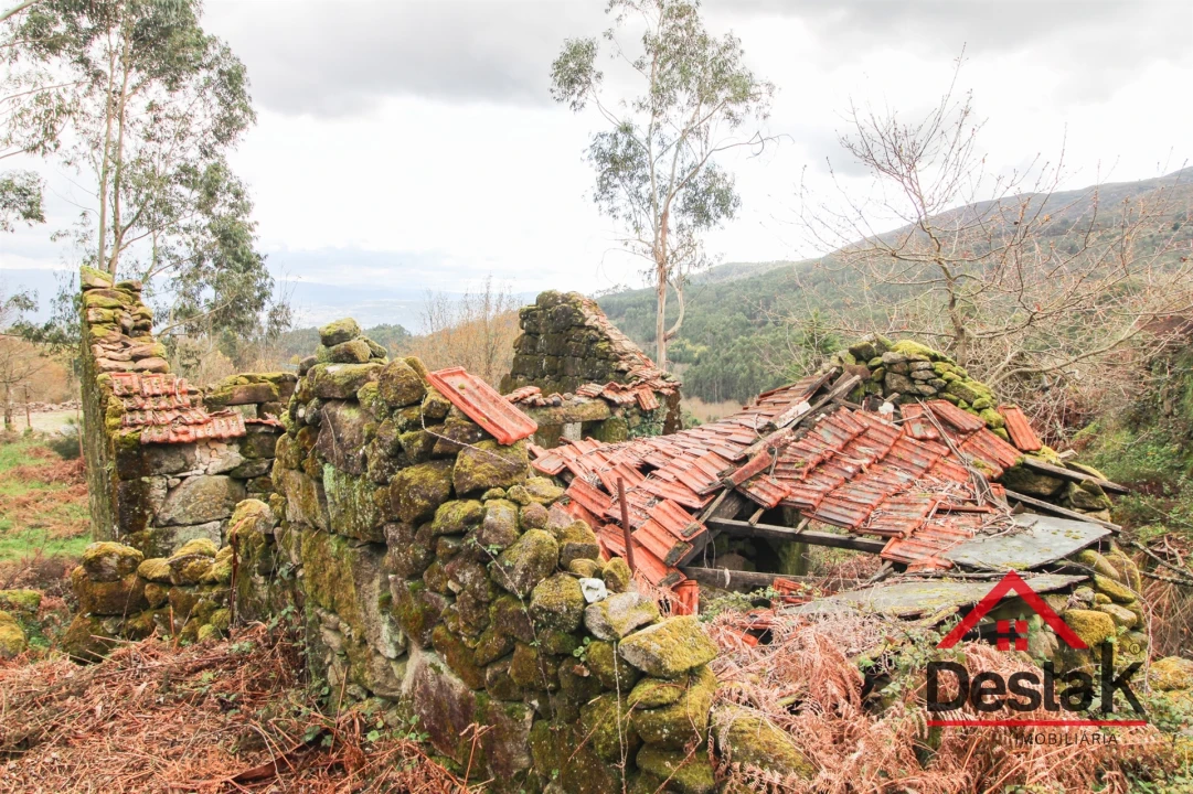 Quinta T3 para Venda em Santa Cruz da Trapa e São Cristóvão de Lafões Foto 4