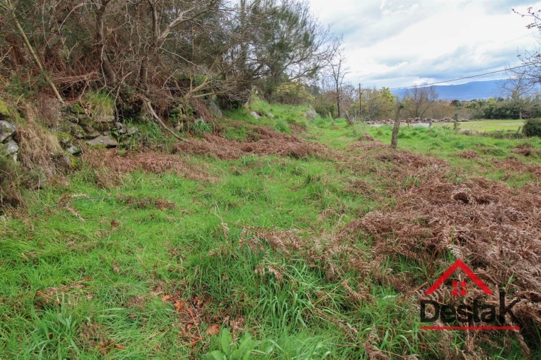 Quinta T3 para Venda em Santa Cruz da Trapa e São Cristóvão de Lafões Foto 6