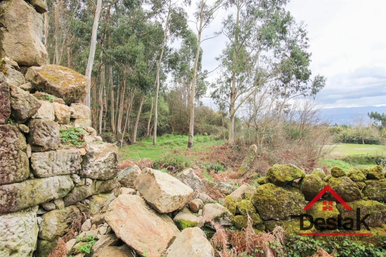 Quinta T3 para Venda em Santa Cruz da Trapa e São Cristóvão de Lafões Foto 3