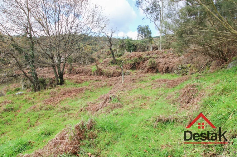 Quinta T3 para Venda em Santa Cruz da Trapa e São Cristóvão de Lafões Foto 7
