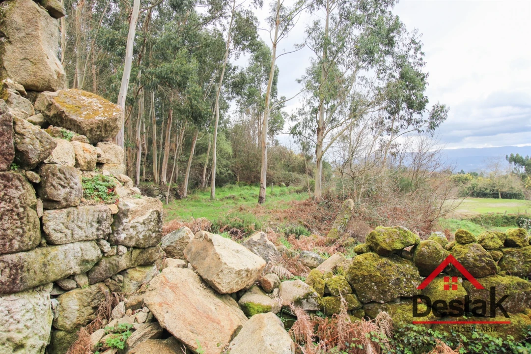 Quinta T3 para Venda em Santa Cruz da Trapa e São Cristóvão de Lafões Foto 3