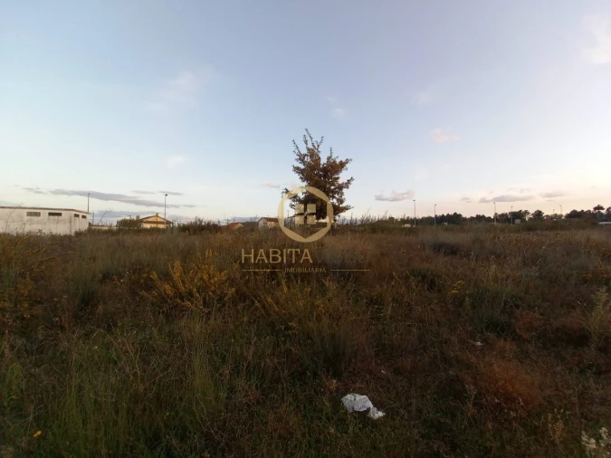 Terreno para Venda em Quintela de Azurara Foto 3