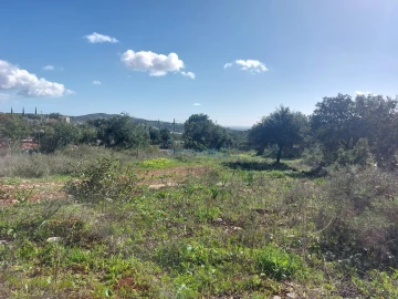Terreno para Venda em Santa Barbara de Nexe