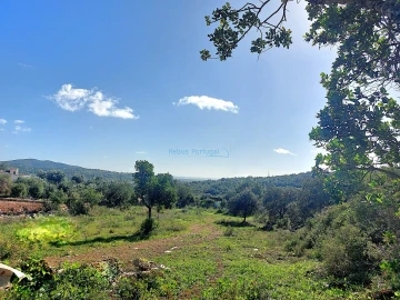 Terreno para Venda em Santa Barbara de Nexe