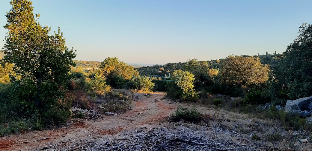 Terreno para Venda em Santa Barbara de Nexe Foto 10