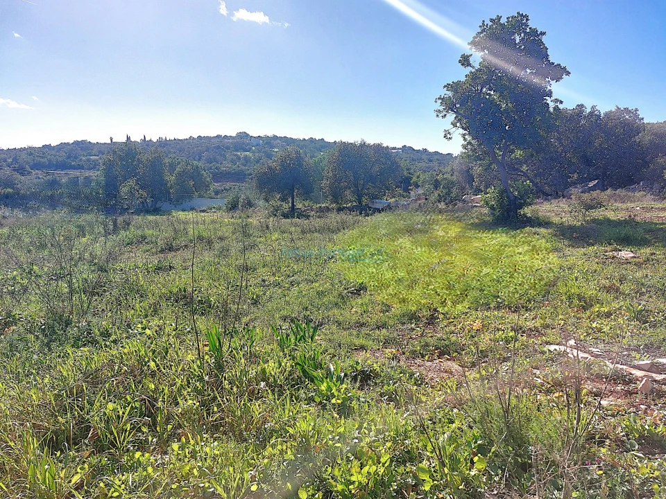 Terreno para Venda em Santa Barbara de Nexe Foto 9