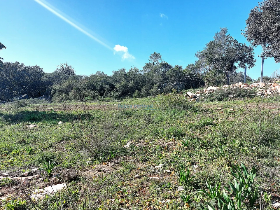 Terreno para Venda em Santa Barbara de Nexe Foto 5