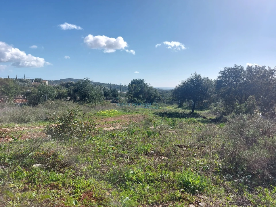 Terreno para Venda em Santa Barbara de Nexe Foto 7