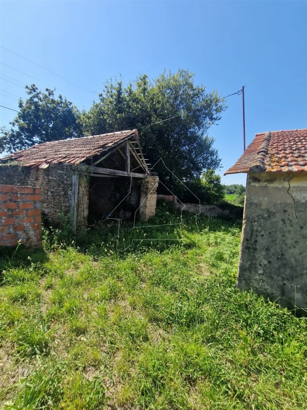 Terreno para Venda em Valega Foto 10