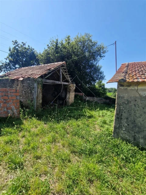 Terreno para Venda em Valega