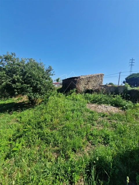 Terreno para Venda em Valega