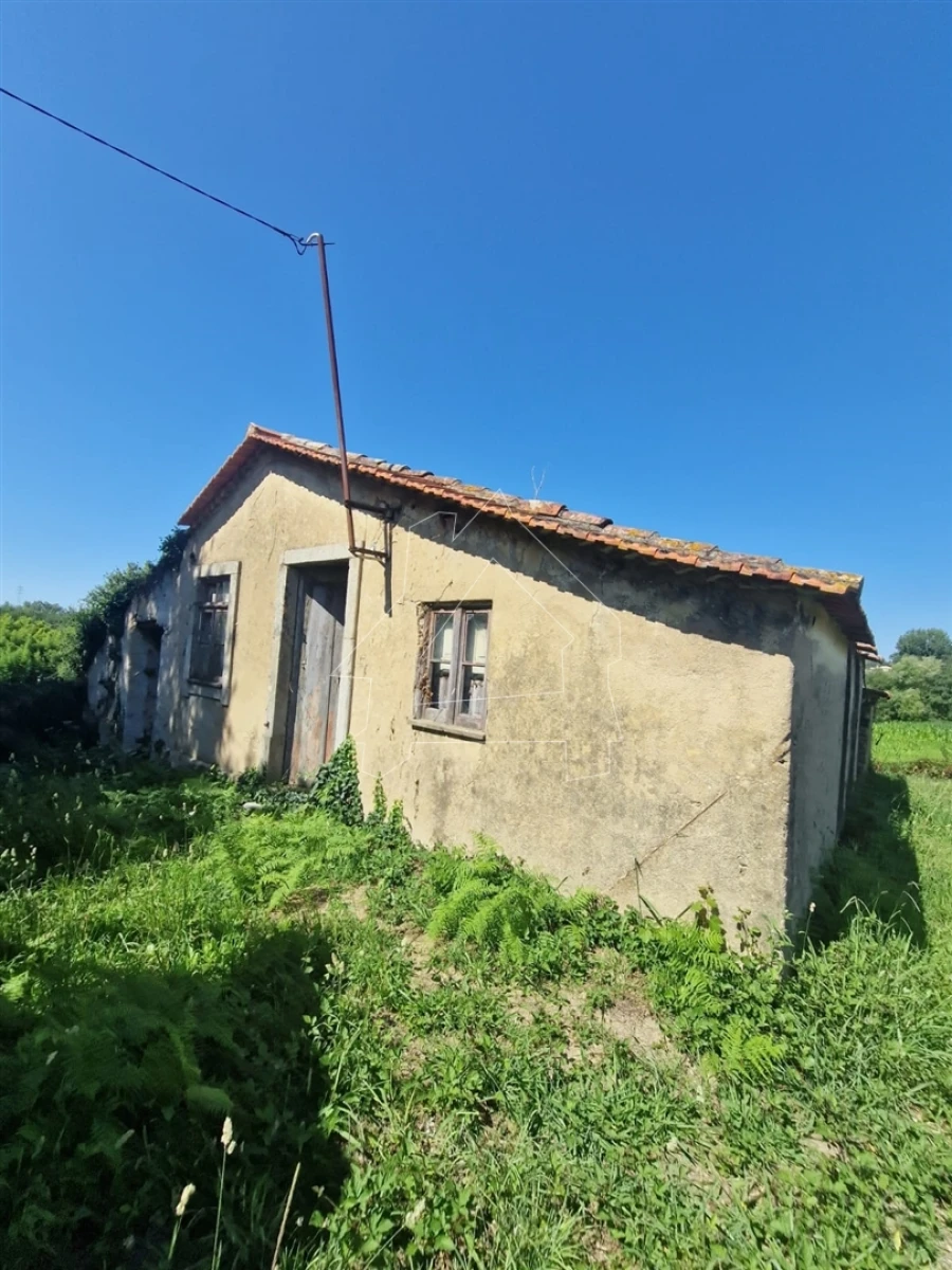 Terreno para Venda em Valega Foto 9