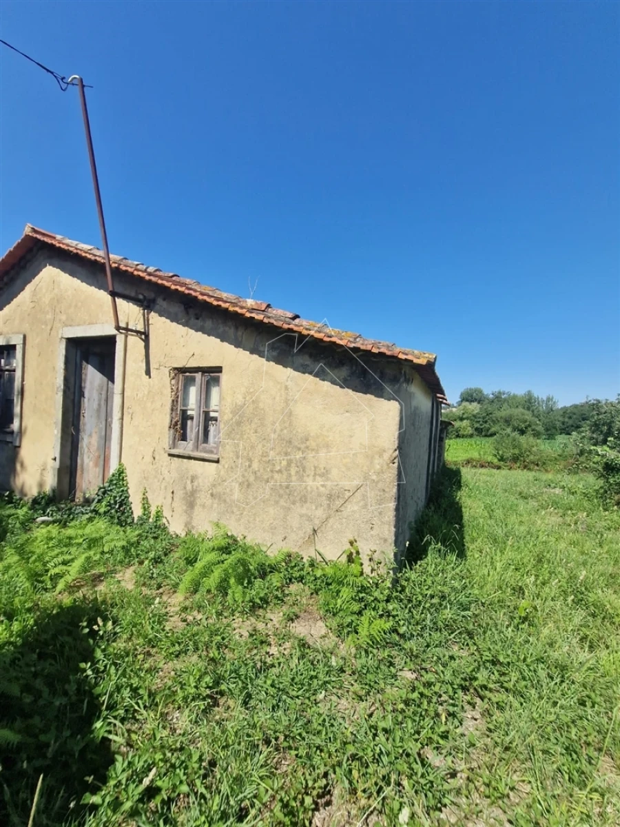 Terreno para Venda em Valega Foto 12