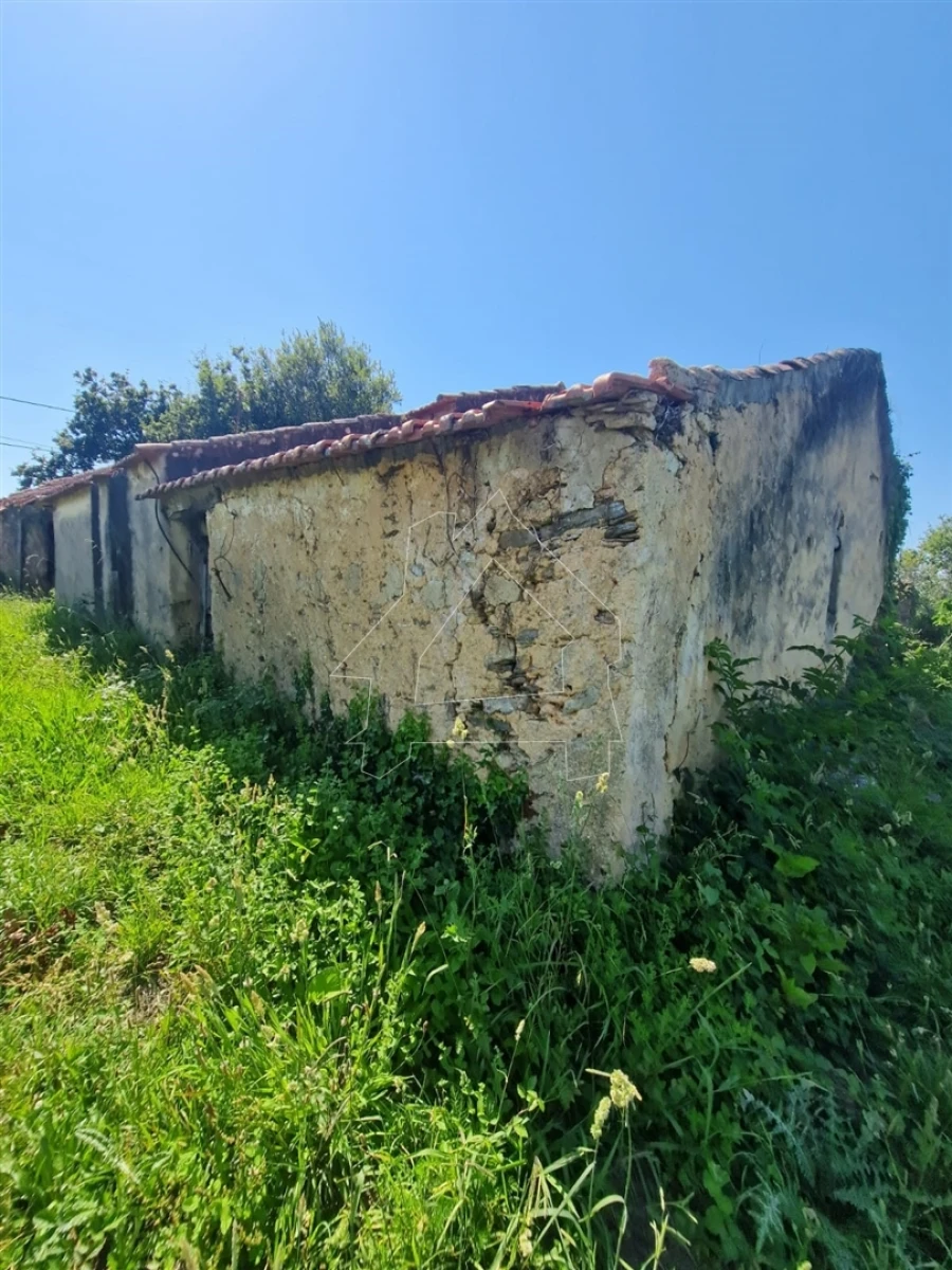 Terreno para Venda em Valega Foto 3